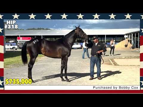 2025 Ruidoso Select Yearling Sale Recap - Session 2 (VIDEO)